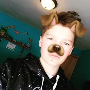 Meet your Posher, Owen